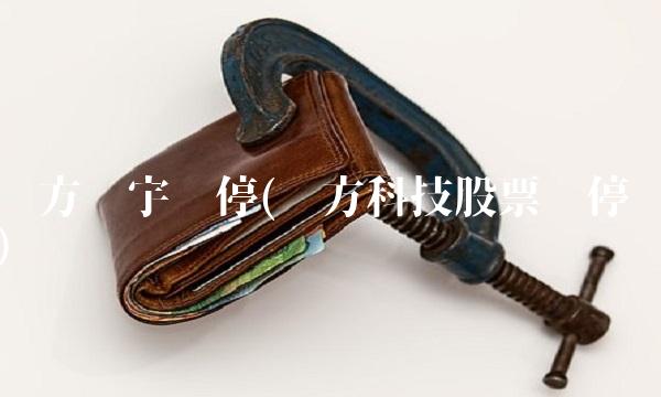 东方环宇涨停(东方科技股票涨停) 东方环宇涨停(东方科技股票涨停)