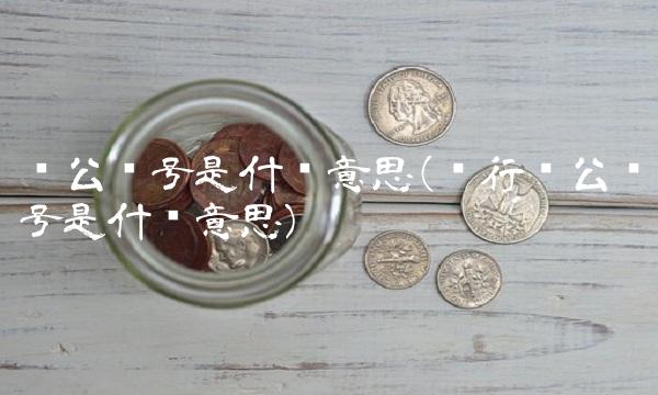 对公账号是什么意思(银行对公账号是什么意思) 对公账号是什么意思(银行对公账号是什么意思)