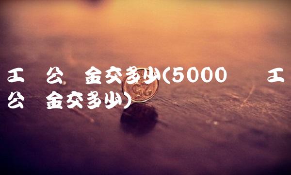 工资公积金交多少(5000块钱工资公积金交多少) 工资公积金交多少(5000块钱工资公积金交多少)
