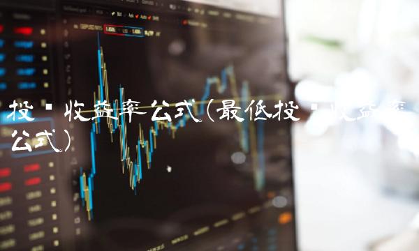 投资收益率公式(最低投资收益率公式) 投资收益率公式(最低投资收益率公式)