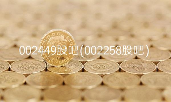 002449股吧(002258股吧) 002449股吧(002258股吧)