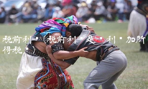 税前利润(税前利润是净利润加所得税吗) 税前利润(税前利润是净利润加所得税吗)