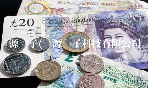 视源电子(视源电子科技有限公司) 视源电子(视源电子科技有限公司)