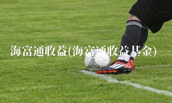 海富通收益(海富通收益基金) 海富通收益(海富通收益基金)