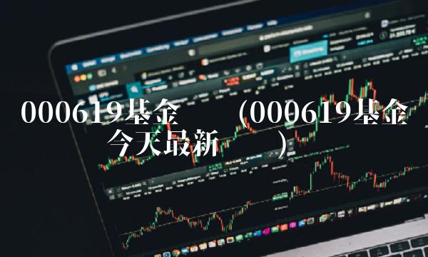 000619基金净值(000619基金净值查询今天最新净值) 000619基金净值(000619基金净值查询今天最新净值)