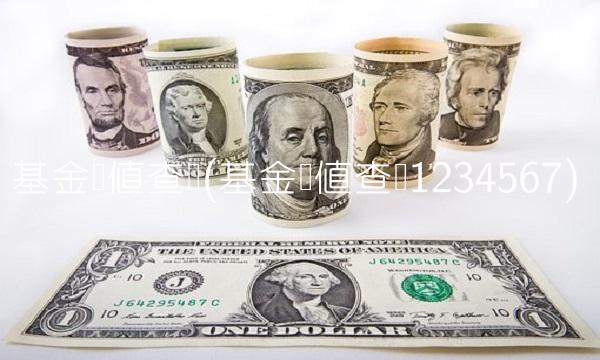 基金净值查询(基金净值查询1234567) 基金净值查询(基金净值查询1234567)