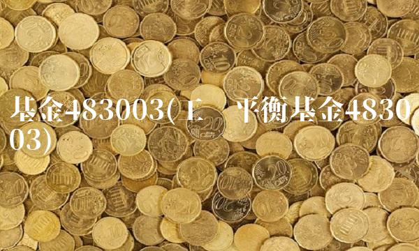 基金483003(工银平衡基金483003) 基金483003(工银平衡基金483003)