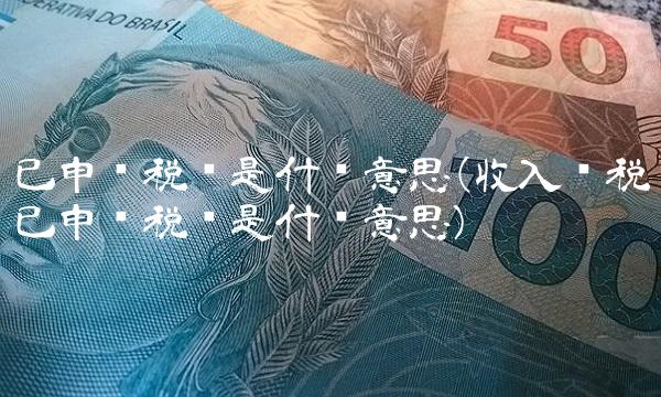 已申报税额是什么意思(收入纳税已申报税额是什么意思) 已申报税额是什么意思(收入纳税已申报税额是什么意思)