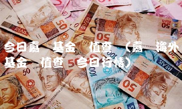 今日嘉实基金净值查询(嘉实海外基金净值查询今日行情) 今日嘉实基金净值查询(嘉实海外基金净值查询今日行情)