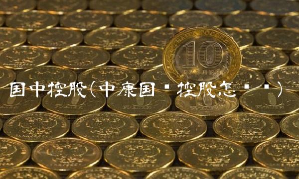 国中控股(中康国驰控股怎么样) 国中控股(中康国驰控股怎么样)