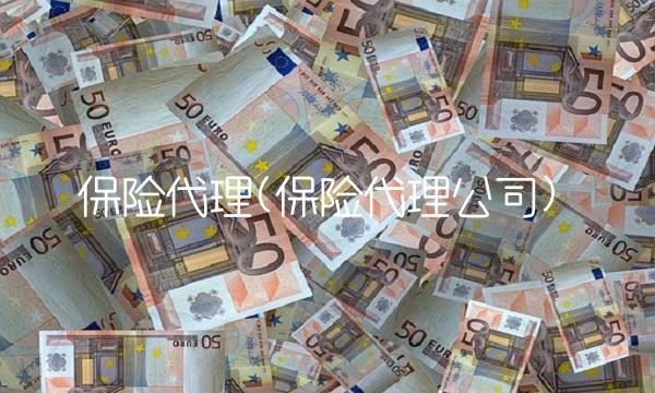 保险代理(保险代理公司) 保险代理(保险代理公司)