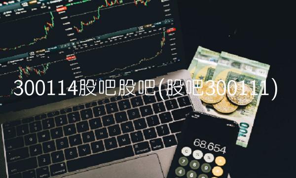 300114股吧股吧(股吧300111) 300114股吧股吧(股吧300111)