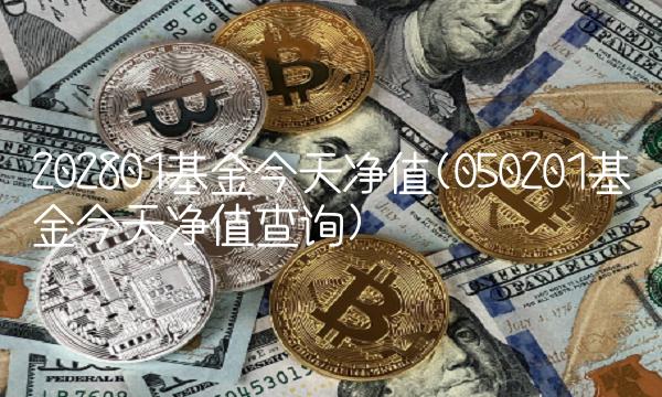 202801基金今天净值(050201基金今天净值查询) 202801基金今天净值(050201基金今天净值查询)