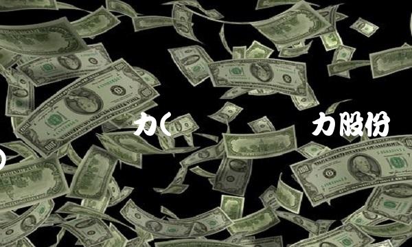 华电国际电力(华电国际电力股份) 华电国际电力(华电国际电力股份)