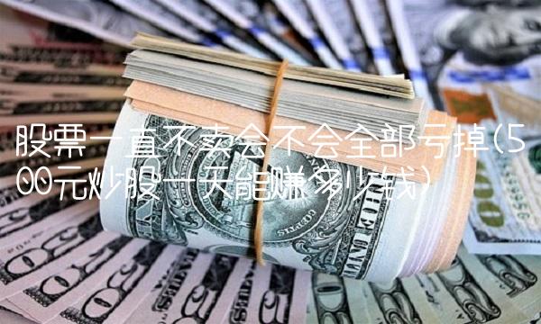 股票一直不卖会不会全部亏掉(500元炒股一天能赚多少钱) 股票一直不卖会不会全部亏掉(500元炒股一天能赚多少钱)