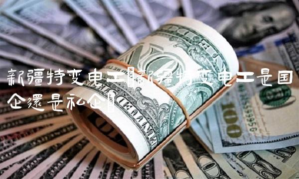 新疆特变电工(新疆特变电工是国企还是私企)