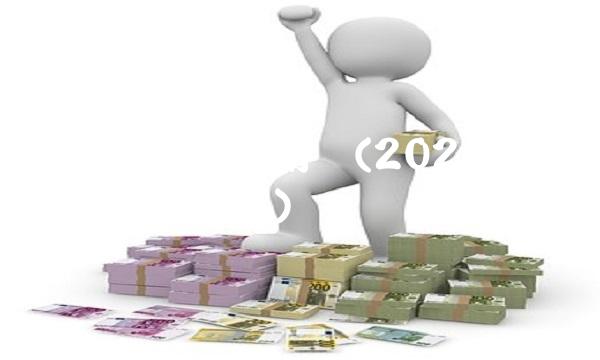 新财富最佳分析师(2020年新财富最佳分析师)