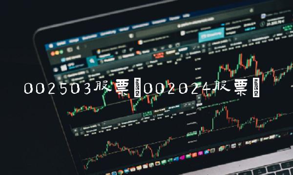 002503股票(002024股票) 002503股票(002024股票)