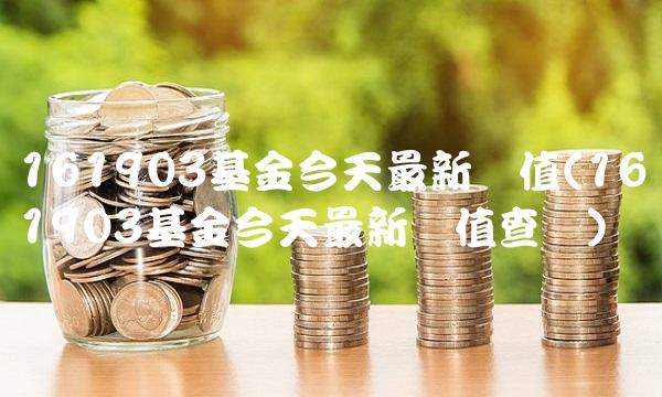 161903基金今天最新净值(161903基金今天最新净值查询) 161903基金今天最新净值(161903基金今天最新净值查询)