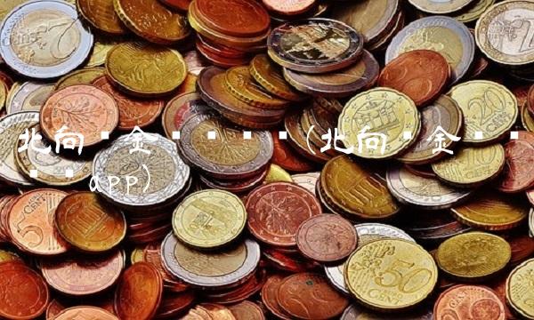 北向资金实时查询(北向资金实时查询app)