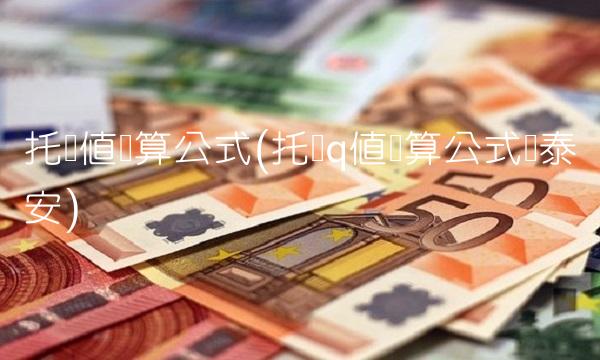 托宾值计算公式(托宾q值计算公式国泰安) 托宾值计算公式(托宾q值计算公式国泰安)