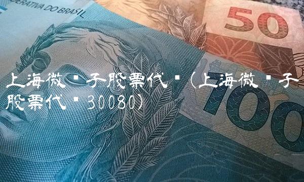 上海微电子股票代码(上海微电子股票代码30080)