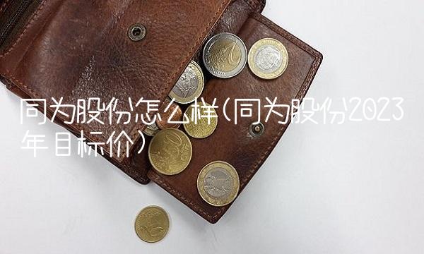 同为股份怎么样(同为股份2023年目标价) 同为股份怎么样(同为股份2023年目标价)