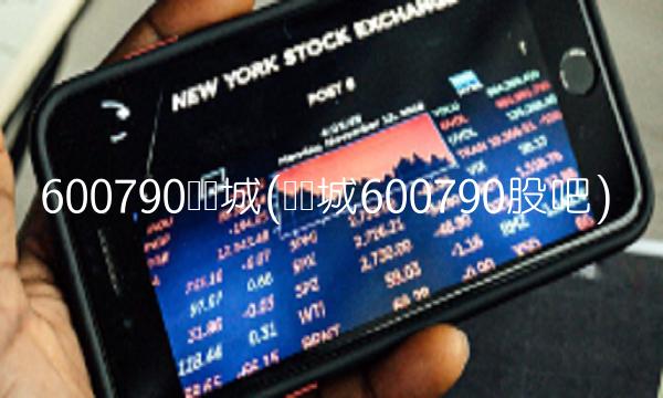 600790轻纺城(轻纺城600790股吧)