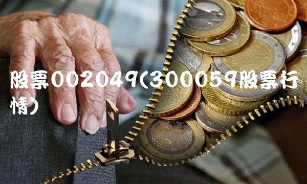股票002049(300059股票行情) 股票002049(300059股票行情)