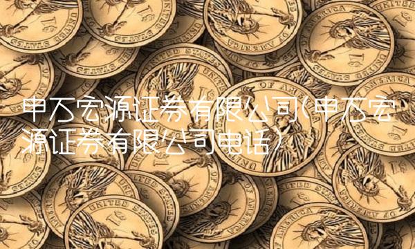 申万宏源证券有限公司(申万宏源证券有限公司电话)