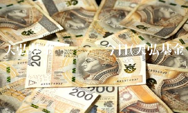 天弘基金净值查询今日(天弘基金净值查询)