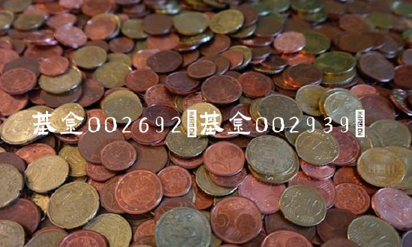 基金002692(基金002939) 基金002692(基金002939)