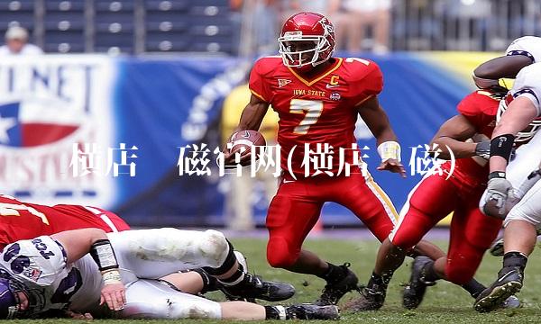 横店东磁官网(横店东磁) 横店东磁官网(横店东磁)