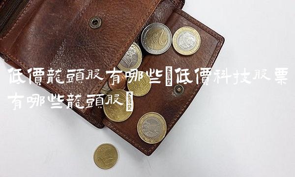 低价龙头股有哪些(低价科技股票有哪些龙头股) 低价龙头股有哪些(低价科技股票有哪些龙头股)