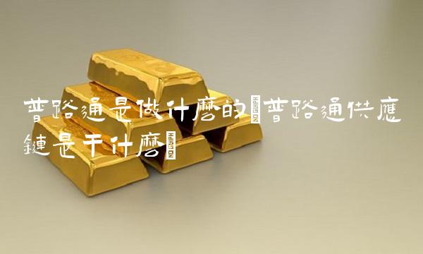 普路通是做什么的(普路通供应链是干什么) 普路通是做什么的(普路通供应链是干什么)