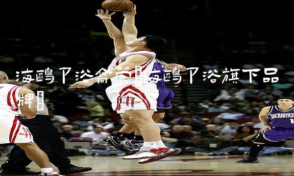 海鸥卫浴高管(海鸥卫浴旗下品牌) 海鸥卫浴高管(海鸥卫浴旗下品牌)