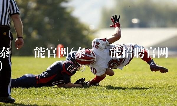 泰胜风能官网(泰胜风能招聘官网) 泰胜风能官网(泰胜风能招聘官网)