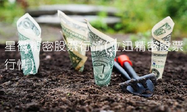 星徽精密股票行情(立迅精密股票行情) 星徽精密股票行情(立迅精密股票行情)