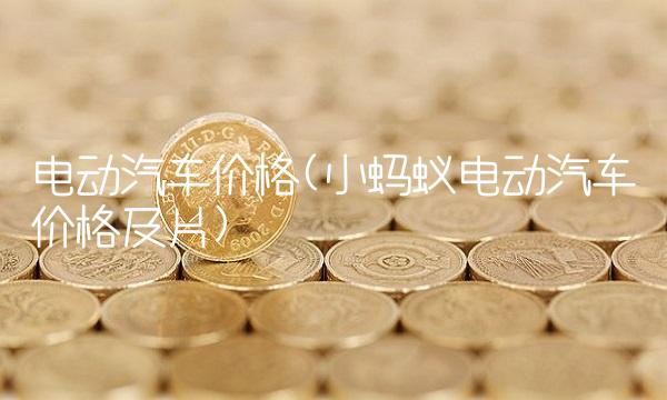 电动汽车价格(小蚂蚁电动汽车价格及片)