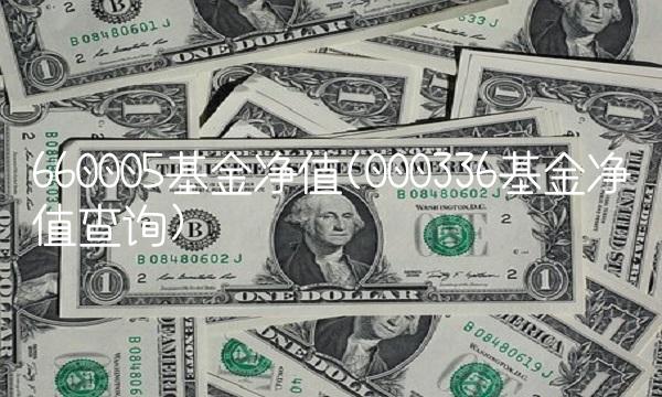 660005基金净值(000336基金净值查询) 660005基金净值(000336基金净值查询)