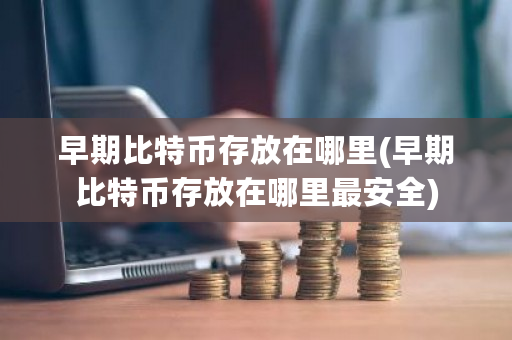 早期比特币存放在哪里(早期比特币存放在哪里最安全)-第1张图片-ZBLOG 早期比特币存放在哪里(早期比特币存放在哪里最安全)-第1张图片-ZBLOG