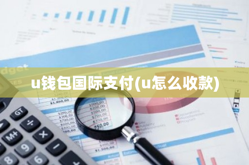 u钱包国际支付(u怎么收款)-第1张图片-ZBLOG u钱包国际支付(u怎么收款)-第1张图片-ZBLOG