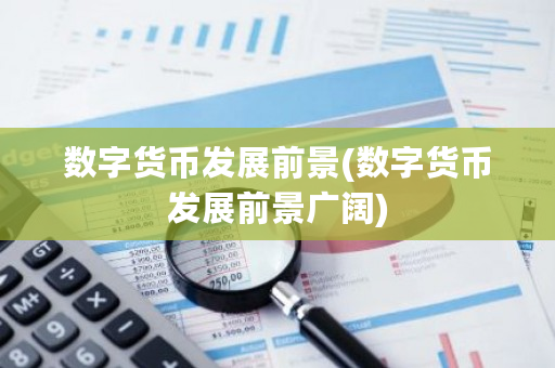 数字货币发展前景(数字货币发展前景广阔)-第1张图片-ZBLOG 数字货币发展前景(数字货币发展前景广阔)-第1张图片-ZBLOG