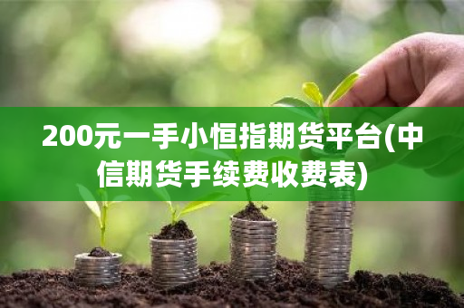 200元一手小恒指期货平台(中信期货手续费收费表)-第1张图片-ZBLOG 200元一手小恒指期货平台(中信期货手续费收费表)-第1张图片-ZBLOG