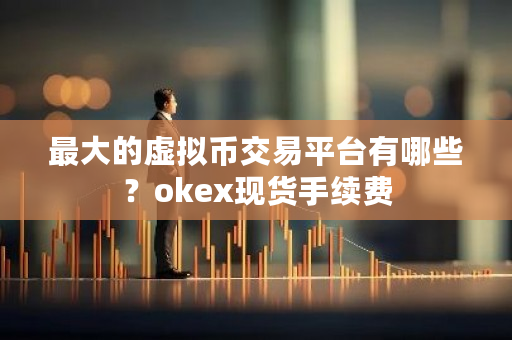 最大的虚拟币交易平台有哪些?okex现货手续费-第1张图片-ZBLOG 最大的虚拟币交易平台有哪些?okex现货手续费-第1张图片-ZBLOG