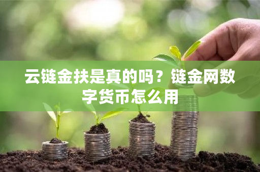 云链金扶是真的吗?链金网数字货币怎么用-第1张图片-ZBLOG 云链金扶是真的吗?链金网数字货币怎么用-第1张图片-ZBLOG