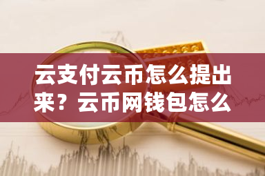 云支付云币怎么提出来？云币网钱包怎么申请退款-第1张图片-ZBLOG