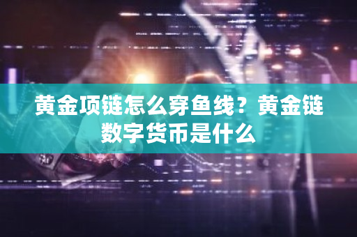 黄金项链怎么穿鱼线?黄金链数字货币是什么-第1张图片-ZBLOG 黄金项链怎么穿鱼线?黄金链数字货币是什么-第1张图片-ZBLOG