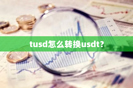 tusd怎么转换usdt?-第1张图片-ZBLOG tusd怎么转换usdt?-第1张图片-ZBLOG