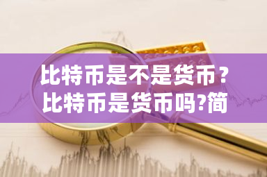 比特币是不是货币?比特币是货币吗?简述理由-第1张图片-ZBLOG 比特币是不是货币?比特币是货币吗?简述理由-第1张图片-ZBLOG